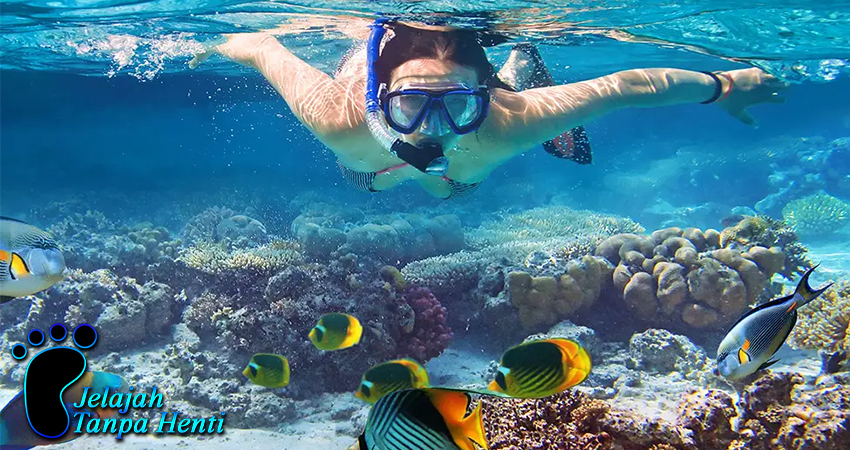 Paket Wisata Terbaik untuk Liburan Impian di Maladewa
