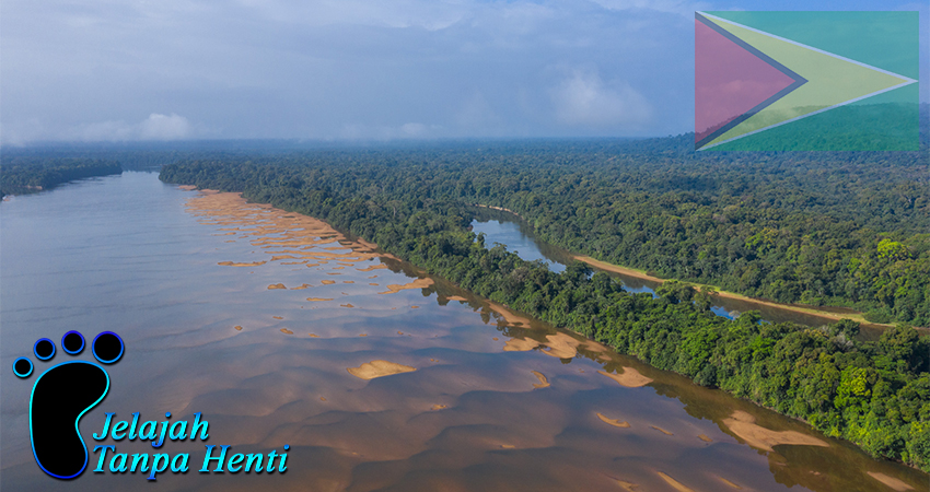 Guyana Eksplorasi Kehidupan Liar di Iwokrama